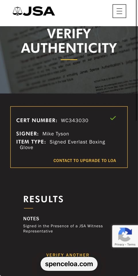 🥊 Mike Tyson Signed Everlast Boxing Glove – JSA Witnessed + Fiterman Sports – Iconic Autograph!