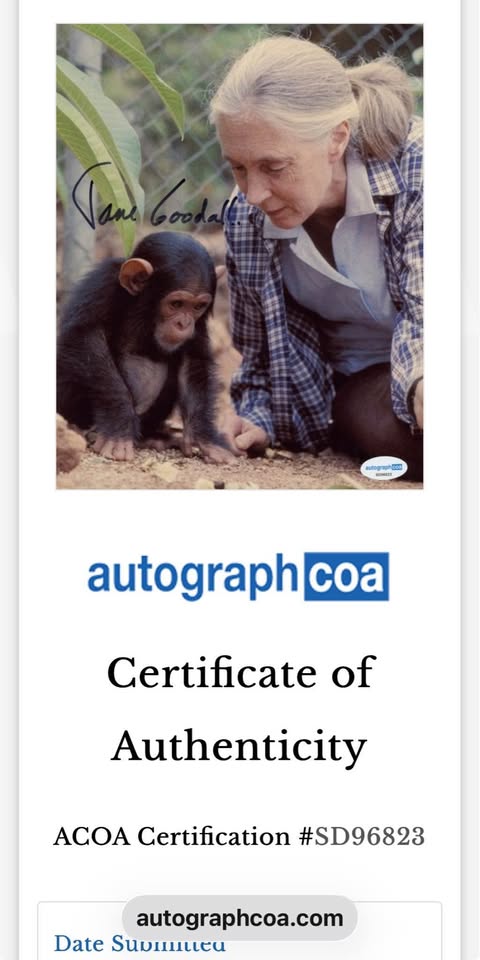 🐒 Jane Goodall Signed 8x10 Photo – AutographCOA Certified (SD96823)