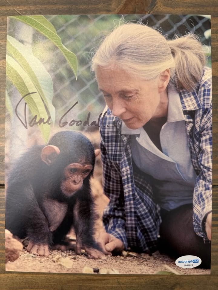 🐒 Jane Goodall Signed 8x10 Photo – AutographCOA Certified (SD96823)