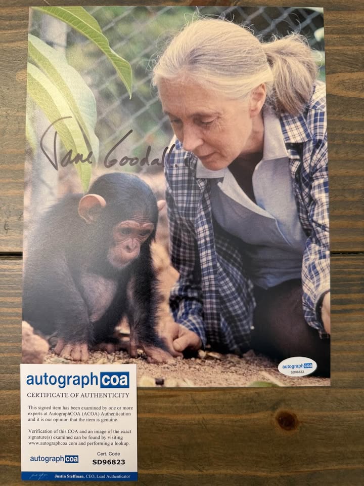 🐒 Jane Goodall Signed 8x10 Photo – AutographCOA Certified (SD96823)