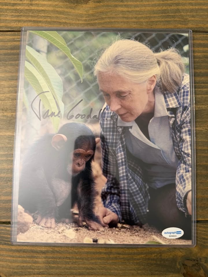 🐒 Jane Goodall Signed 8x10 Photo – AutographCOA Certified (SD96823)