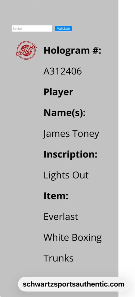 ✅ James Toney Signed Everlast Boxing Trunks “Lights Out” Schwartz COA