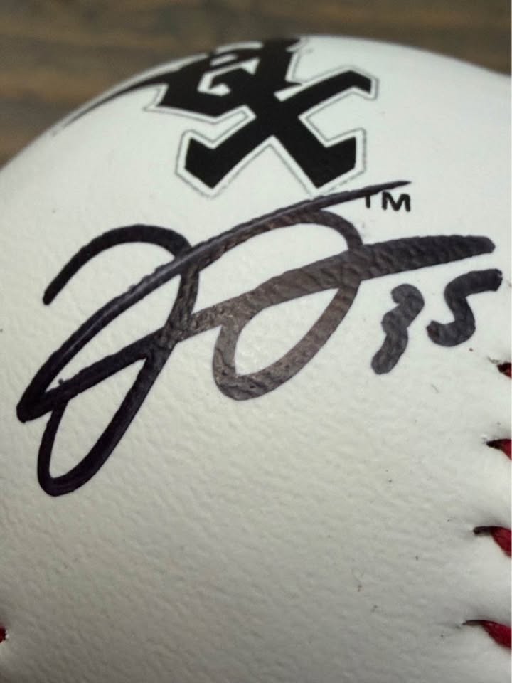 ⚾ Frank Thomas Signed White Sox Logo Baseball JSA Witnessed Authenticated Auto HOF “Big Hurt” ⚾